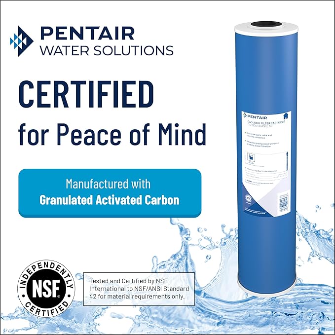 Pentair Pentek GAC-20BB Big Blue Carbon Water Filter, 20-Inch, Heavy Duty Granular Activated Carbon (GAC) Replacement Cartridge, 20" x 4.5", Pack of 4