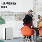 IDEAL AP80 PRO Air Purifier, 5-speeds, Covers up to 800 sq.ft., Made in Germany