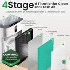 4 Pack Air Purifier Replacement Filter HY4866 Compatible with MORENTO, WESTHEY HY4866, YIOU M1 - True HEPA Filter, 4 Stage Filtration, Original Carbon & Silver Technology - Green