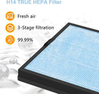 AP303 AP304 Replacement Filters, Compatible with DAYETTE ＆ FRESHDEW Air Purifier AP303/AP304, H14 HEPA Filter with Activated Carbon, 2 Pack (Wildfire Filter)