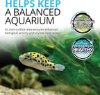 Fluval FX4/FX5/FX6 Bio-Foam, Replacement Aquarium Filter Media, 2-Pack, A239