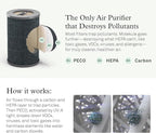 Molekule PECO-HEPA Tri-Power Filter for Air Pro Purifier - Authentic Molekule Air Purifier Filter Replacement - Kills Viruses & Destroys Pollutants with High Airflow - Supports Healthy Indoor Living