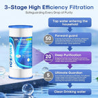 ICEPURE 20 Micron 10" x 4.5" Whole House Extra Coarse Pleated Sediment Filter for Well Water, Replacement Cartridge for GE FXHSC, DuPont WFHDC3001, R50-BB, Culligan R50-BBSA, W50PEHD, 2Pack