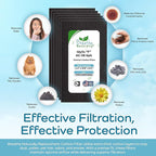 Breathe Naturally - Carbon Filters Compatible with Idylis F AC-38 Series Air Purifiers - Made for Idylis F AC-38/560885 Series - Made in USA - Odor Control for Air Purifiers(6 Pack Carbon Filter)