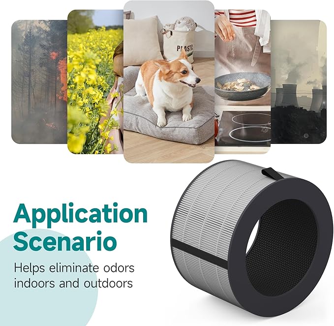 PuriCare 360 Filter Compatible with LG PuriCare 360 Purifiers, Model AS601HBB0, H13 HEPA ＆ Activated carbon Filter, 1 Pack