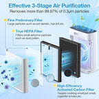 2 Pack HAP603 Replacement Filter Compatible with ECOSELF HAP603 / HAP603WF Air Purifier, Air Purifiers Replacement Filter for Home Large Room, # RFHAP603_2P_BLU, Blue