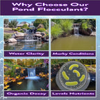 PONDSCAPE Pond Flocculant – Clears Cloudy & Murky Pond Water – Fast-Acting Water Clarifier for Ponds, Water Gardens & Fountains – Safe, Biodegradable Formula