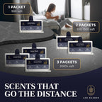 Luxury Hotel Whole Home Air Freshener System - Whole House Air Freshener for HVAC Filter - Scented Filters for Home - HVAC Duct Odor Eliminator - Filter Fresh 6 Pack