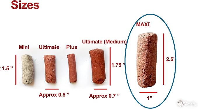 Biohome Maxi Media, Premium Large-Sized Media for Aquarium & Pond Filter (2 LBS)