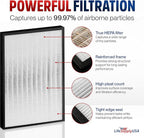 AP350 True HEPA Filter Replacement Compatible with Envion AllergyPro AP350 Allergy Pro AP 350 Air Purifiers by LifeSupplyUSA