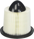 BOSCH 5283WS Workshop Engine Air Filter - Compatible with Select Ford E-150, E-250, E-350, E-450, Excursion, Expedition, F-150, F-250, F-350, F-450, F-550, Mustang; Lincoln Continental, Navigator