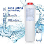 51300-C (2 Packs-No Chip),Compatible with EzH2O Replacement Bottle Station High Capacity 3000 Gallon,Replacement EWF3000 for 51300-C ERF750, 51299C, 55898C