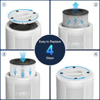 Tailulu D10 Replacement Filter, Air Purifier Filter for Tailulu D10 Air Purifier, 3-in-1 H13 Grade True Replacement Filte 1 Pack with Extra 6 Pieces Aroma Pads