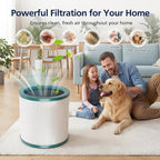 TP01 HEPA Filter Replacement Compatible with Dyson Tower Purifier Pure Cool Link TP01, TP02, TP03, AM11, BP01 Models, Replace Part 968126-03 (1 Pack)