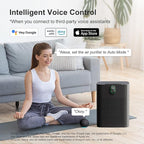 MORENTO Air Purifier for home Large Rooms up to 1076 ft2, Wi-Fi and Alexa compatible, PM2.5 Air Quality Display, Auto Mode, HEPA Filter Removes Dust, Pollen, Smoke 1 Pack +2 Pack Filters(Black)