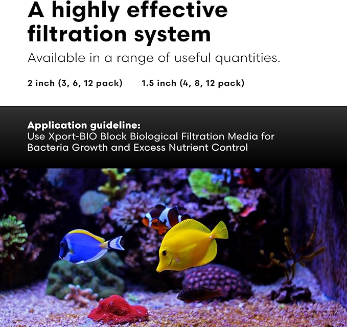 Brightwell Aquatics - Xport-BIO Block Aquarium Filter - Biological Filtration Media for Bacteria Growth, Nutrient Control and Control of Other Unwanted Nutrients - Aquarium Treatments, 12Pack, 1.5inch