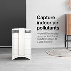 IQAir HealthPro Compact XE Air Purifier - 2-Pack - Compact HyperHEPA Filtration for Rooms up to 2480 sq ft - Allergens, Smoke, Dust, Mold, Pet Dander, Swiss Made, WiFi Enabled