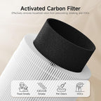 AP02 Replacement Filter Compatible with WESTHEY AP02 Air Purifier, 3-in-1 H13 True HEPA Filter with Activated Carbon, 2 Pack