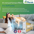 M0-1056 Replacement Filter | AirPurete AP-M016205 | Actual Size 15-3/8" x 21-7/8" x 5-1/4" (16x20x5) | Merv 11 | Pack of 2 | Manufactured in Canada