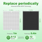 5510 5520 Replacement Filter Q for WINIX 5510 5520 PlasmaWave Air Purifier, H13 True HEPA and Activated Carbon Filter Combo Pack, Part # 1712-0123-00, 2 Set