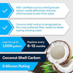 SpiroPure Inline Filter NSF Coconut Shell Granular Carbon Water Filter with 1/4" FNPT, 2" x 10" (1 Pack)