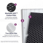 Genuine Winix 116130 Replacement Filter H for 5500-2 Air Purifier , 16.25"L x 12.5"W x 1.5"Th, White