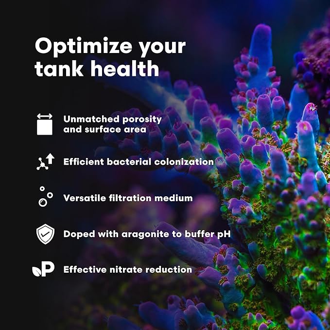 Brightwell Aquatics - Xport-BIO Block Aquarium Filter - Biological Filtration Media for Bacteria Growth, Nutrient Control and Control of Other Unwanted Nutrients - Aquarium Treatments, 12Pack, 1.5inch