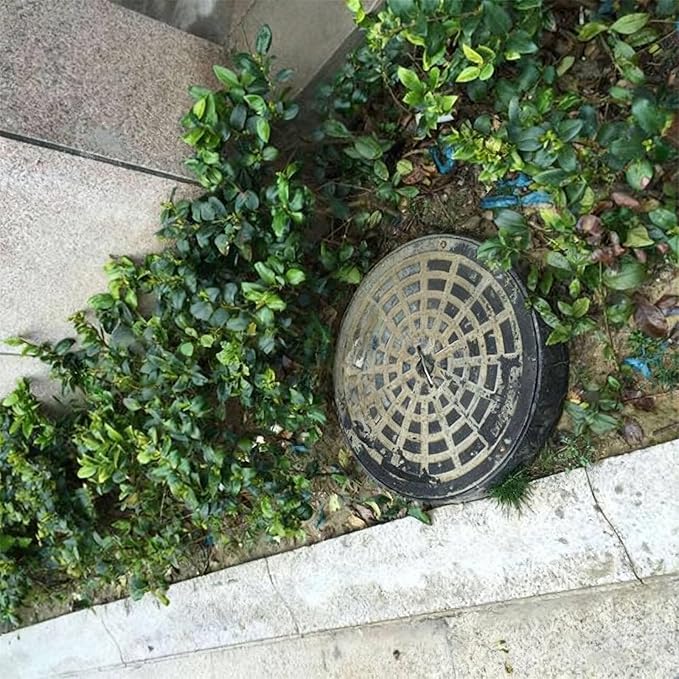 Septic Tank Lids, Manhole Cover with Handle, Sturdy and Pressure-Resistant, Suitable for Green Belts, Residential Areas and Construction Sites(63 cm/25 in)