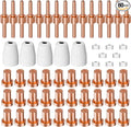 60PCS PT31 Plasma Cutter Consumables, High-Quality Cutting Performance Nozzles, Electrodes & Tips for CUT-40, CUT-50, CT-312Plasma Cutters, Precision Fit Plasma Cutter Torch PT-31 JG-40 LG-40