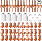 60PCS PT31 Plasma Cutter Consumables, High-Quality Cutting Performance Nozzles, Electrodes & Tips for CUT-40, CUT-50, CT-312Plasma Cutters, Precision Fit Plasma Cutter Torch PT-31 JG-40 LG-40