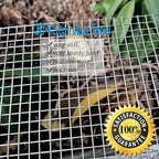 Upgraded 2PACK SS Wire Mesh, 4 Mesh Completely Welded, 12 X 24 in(310mm X 620mm), Stainless 304, Easy to Cut and Make Straight, Never Rust by Valchoose