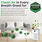 HY4866 Air Purifier Replacement Filter - 2 Pack Compatible with MORENTO, WESTHEY HY4866, YIOU M1 - True HEPA Filter, 4 Stage Filtration, Carbon & Silver Technology