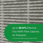 AprilAire RF09550V Virus + Allergy + Pet True HEPA Air Purifier Replacement Filter for AprilAire 9550 Room Air Purifier, Captures Viruses, Allergens, Bacteria, Pet Hair & Dander, Ozone Free