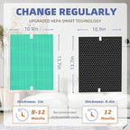 5510 5520 HEPA Toxin Absorbe Air Purifier Filter Q Replacement for Winix 5510 5520 Plasmawave Air Purifier H13 True HEPA Carbon Filter,# 1712-0123-00,2 Combon Set