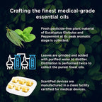 Mypurmist ScentPad Eucalyptus & Peppermint Vapor Pads - Vaporizer Refill Pad for Ultrapure Devices, Essential Oil Aromatherapy for Humidifier - Steam Inhaler for Sinus Congestion Relief, 24 Reservoirs