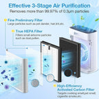 4 Pack HAP603 Replacement Filter Compatible with ECOSELF HAP603 / HAP603WF Air Purifier, Air Purifiers Replacement Filter for Home Large Room, # RFHAP603, White