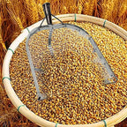 Leaking Soil Shovel Filter Stainless Steel Sieve 4mm/6mm/8mm/12mm Mesh Sifting Shovel for Sifting Corn Kernels Gardening Farm Chicken Coop and Goat Stall Multipurpose Dustpan (Sliver-8MM)