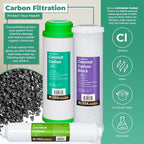 Reverse Osmosis Alkaline pH+ Water Filter Set | 20 Replacement Water Filters with 100 GDP Membrane | 2 Year Supply | Under Sink RO Water Filter | PP, GAC, CTO, ROM, PC, ALK | Universal 10 Inch Size