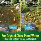 Aquatic Experts Green COARSE Pond Filter Pad - 2 inch Thick - Bulk Roll Water Garden Filter Pond Media - Made in USA, (14" x 56")