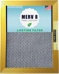 CARTER | Gold | MERV 8 | HVAC & Furnace Filter | Washable Electrostatic ((20x25x1))