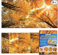 4 Pcs Fluorescent Light Covers - Classroom, Office 4 x 2 Feet Flame Retardant Magnetic Covers for Ceiling Lights Filters (Autumn & Sunset)