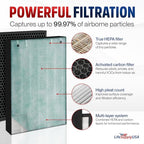 2521/2520 Filter Replacement Compatible with Bissell Air400 Series 24791-3-in-1 True HEPA + Activated Carbon + Pre-Filter by LifeSupplyUSA (2-Pack)