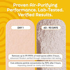 Barnakl Pet Fresh Ceiling Fan Filters for Blades, Zeolite Air Filters, Ceiling Fan Air Purifier Pads, Odorless Pet Odor Eliminator for Home, Fan Filters for Dust, Dander & Odors – 5 Pack
